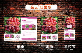 產品系列宣傳廣告